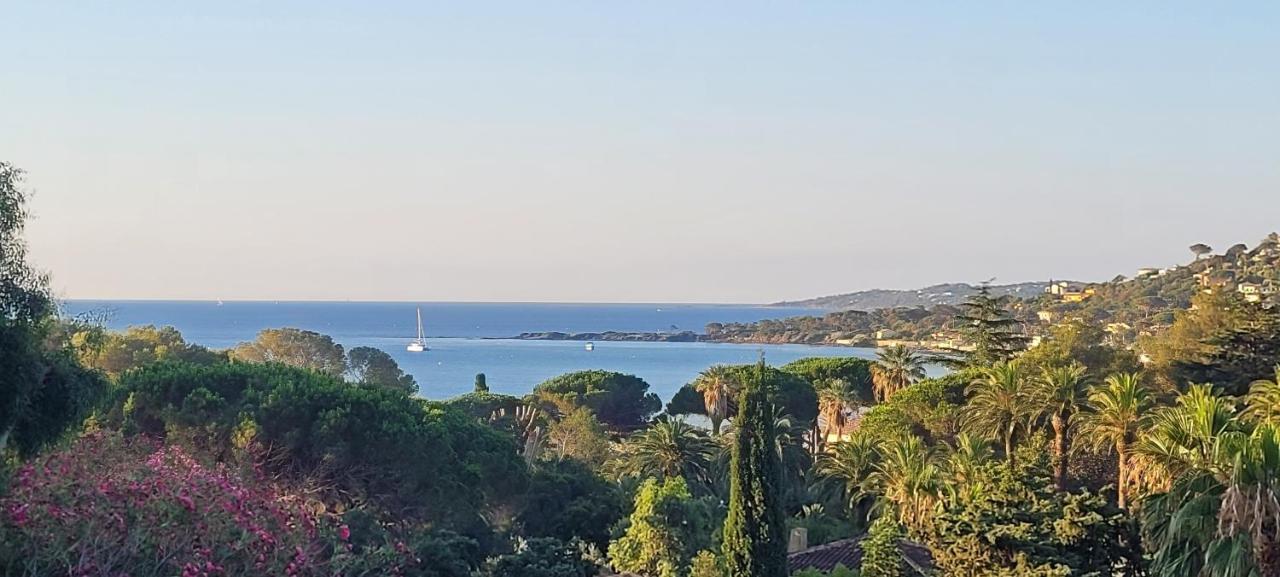 Larimar Etablissement- 200 M De La Mer Sainte-Maxime Kültér fotó